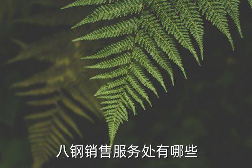 新疆八鋼國際貿(mào)易股份有限公司,新疆銀隆國際貿(mào)易股份有限公司