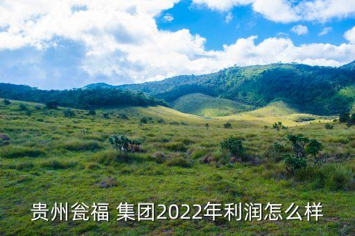 貴州甕福 集團(tuán)2022年利潤(rùn)怎么樣