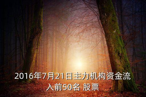 2016年7月21日主力機(jī)構(gòu)資金流入前50名 股票