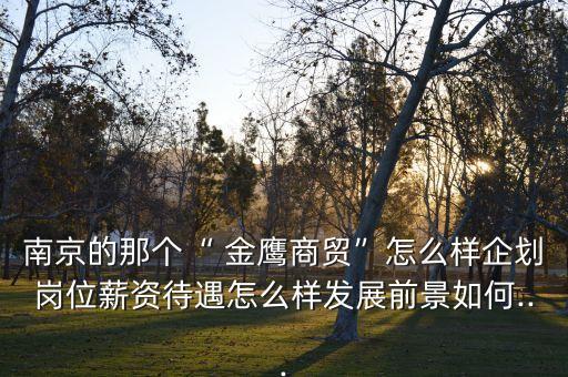 南京的那個(gè)“ 金鷹商貿(mào)”怎么樣企劃崗位薪資待遇怎么樣發(fā)展前景如何...