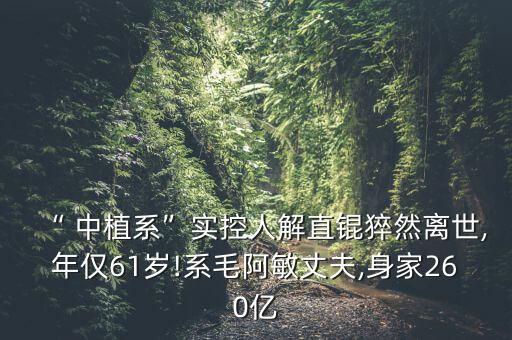 “ 中植系”實控人解直錕猝然離世,年僅61歲!系毛阿敏丈夫,身家260億