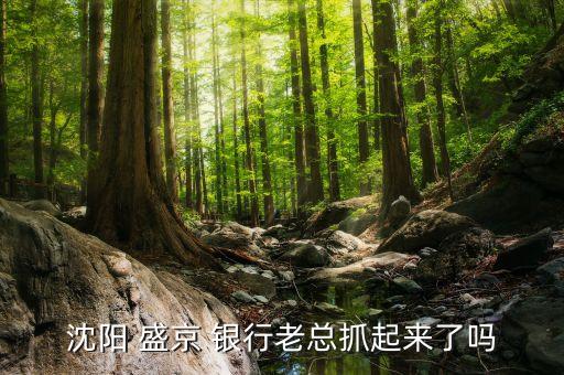 沈陽(yáng) 盛京 銀行老總抓起來(lái)了嗎