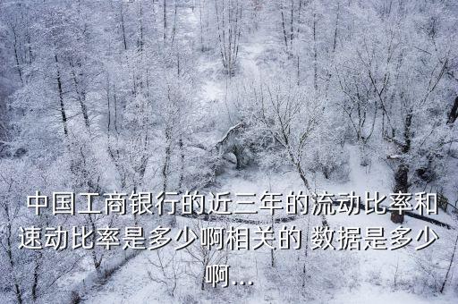  中國工商銀行的近三年的流動比率和速動比率是多少啊相關(guān)的 數(shù)據(jù)是多少啊...