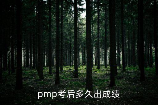 pmp考后多久出成績