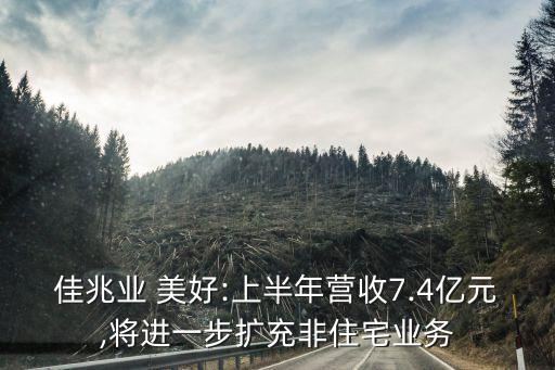 佳兆業(yè) 美好:上半年營收7.4億元,將進一步擴充非住宅業(yè)務(wù)