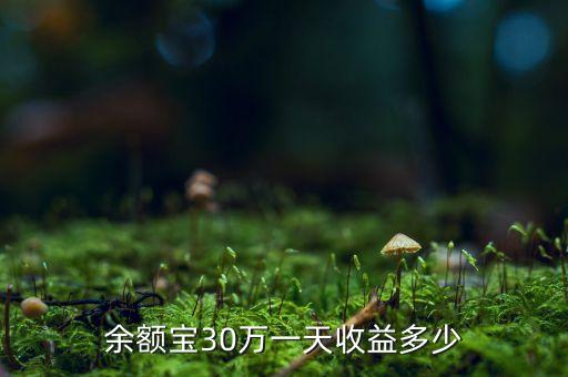 余額寶30萬(wàn)一天收益多少