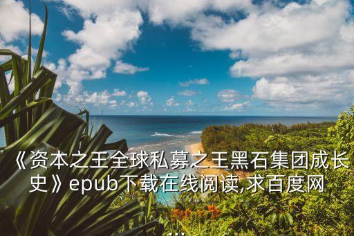 《資本之王全球私募之王黑石集團成長史》epub下載在線閱讀,求百度網(wǎng)...