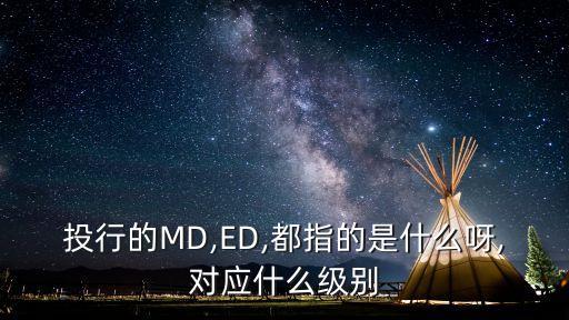 投行的MD,ED,都指的是什么呀,對應(yīng)什么級別