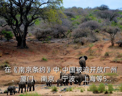 在《南京條約》中,中國被迫開放廣州、 廈門、南京、寧波、上海等5...