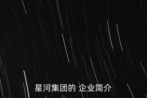 星河集團(tuán)的 企業(yè)簡(jiǎn)介