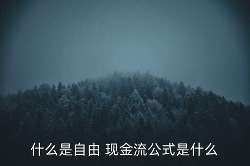 什么是自由 現(xiàn)金流公式是什么