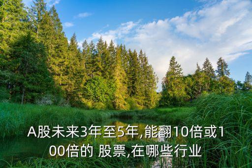 A股未來3年至5年,能翻10倍或100倍的 股票,在哪些行業(yè)