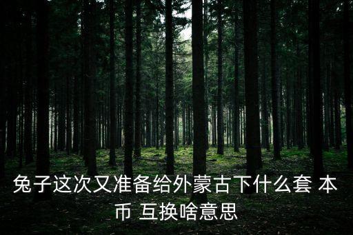 兔子這次又準(zhǔn)備給外蒙古下什么套 本幣 互換啥意思