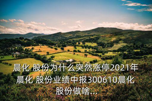 晨化 股份為什么突然漲停2021年晨化 股份業(yè)績(jī)中報(bào)300610晨化 股份做啥...