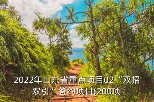 2022年山東省重點項目02“雙招雙引”簽約項目(200項