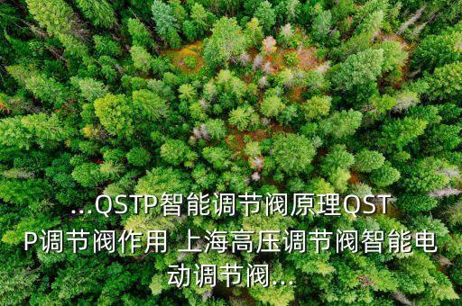 ...QSTP智能調(diào)節(jié)閥原理QSTP調(diào)節(jié)閥作用 上海高壓調(diào)節(jié)閥智能電動(dòng)調(diào)節(jié)閥...