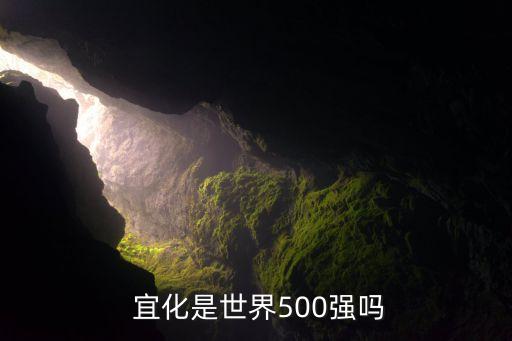  宜化是世界500強嗎