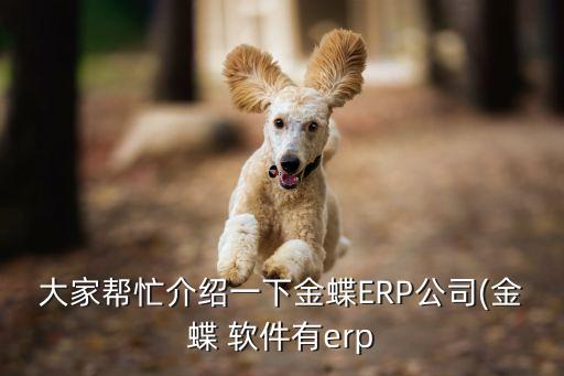 大家?guī)兔榻B一下金蝶ERP公司(金蝶 軟件有erp