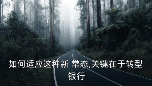 如何適應(yīng)這種新 常態(tài),關(guān)鍵在于轉(zhuǎn)型 銀行