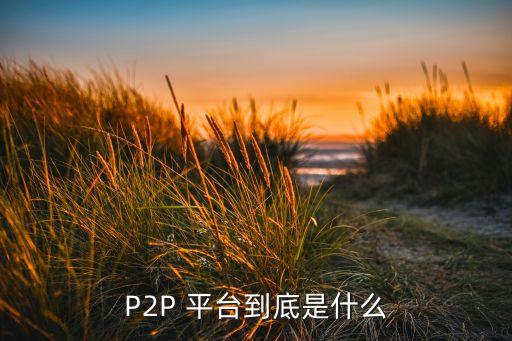 P2P 平臺到底是什么