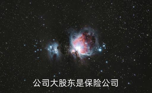 公司大股東是保險(xiǎn)公司