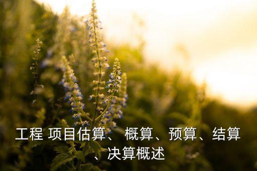 工程 項(xiàng)目估算、 概算、預(yù)算、結(jié)算、決算概述