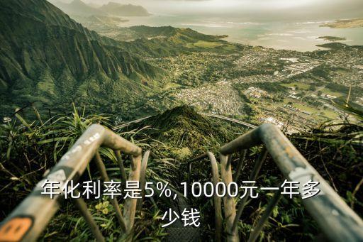 年化利率是5%,10000元一年多少錢