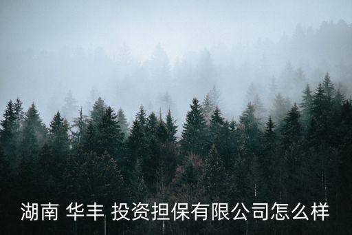 湖南 華豐 投資擔(dān)保有限公司怎么樣