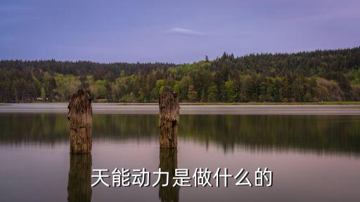 濮陽(yáng)天能集團(tuán)循環(huán)經(jīng)濟(jì)產(chǎn)業(yè)園