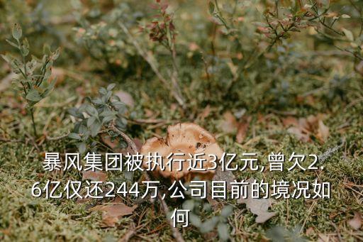  暴風(fēng)集團(tuán)被執(zhí)行近3億元,曾欠2.6億僅還244萬,公司目前的境況如何