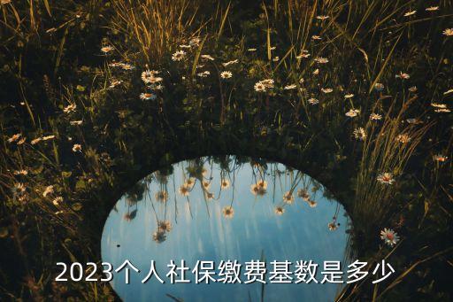 2023個(gè)人社保繳費(fèi)基數(shù)是多少