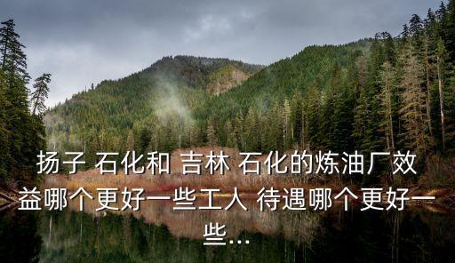 揚子 石化和 吉林 石化的煉油廠效益哪個更好一些工人 待遇哪個更好一些...