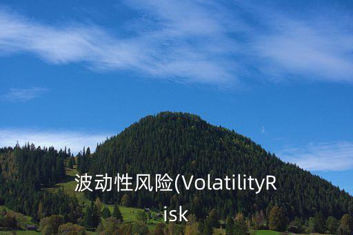 波動(dòng)性風(fēng)險(xiǎn)(VolatilityRisk