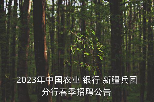 2023年中國農(nóng)業(yè) 銀行 新疆兵團(tuán)分行春季招聘公告