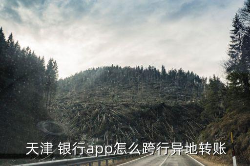  天津 銀行app怎么跨行異地轉(zhuǎn)賬