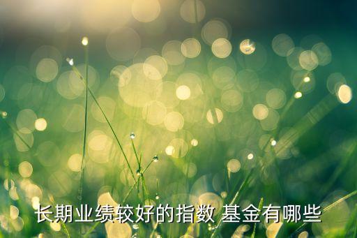 長(zhǎng)期業(yè)績(jī)較好的指數(shù) 基金有哪些