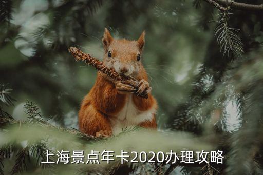  上海景點年卡2020辦理攻略