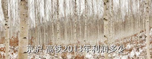 京滬 高鐵2013年利潤多少