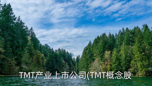 TMT產業(yè)上市公司(TMT概念股