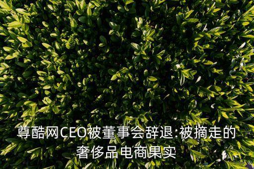 尊酷網(wǎng)CEO被董事會(huì)辭退:被摘走的奢侈品電商果實(shí)