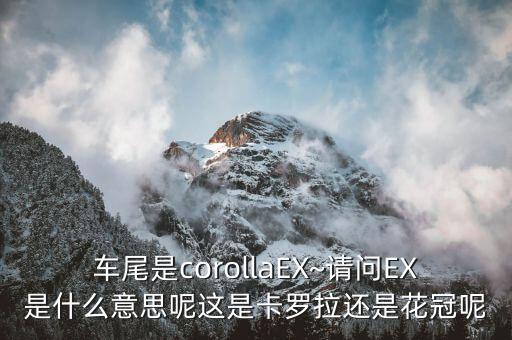 車尾是corollaEX~請(qǐng)問EX是什么意思呢這是卡羅拉還是花冠呢