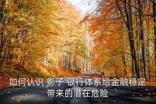 如何認(rèn)識 影子 銀行體系給金融穩(wěn)定帶來的潛在危險