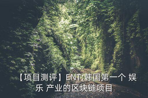 【項(xiàng)目測(cè)評(píng)】ENT:韓國(guó)第一個(gè) 娛樂 產(chǎn)業(yè)的區(qū)塊鏈項(xiàng)目