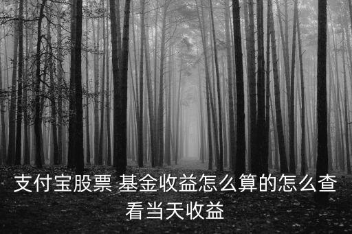 支付寶股票 基金收益怎么算的怎么查看當(dāng)天收益