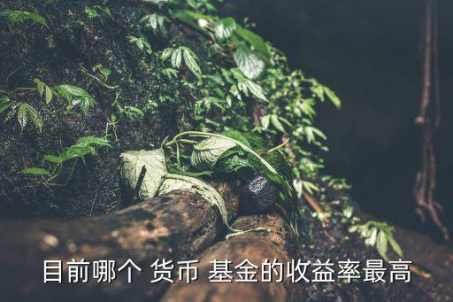 目前哪個(gè) 貨幣 基金的收益率最高