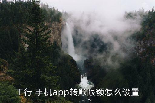 工行 手機app轉(zhuǎn)賬限額怎么設(shè)置