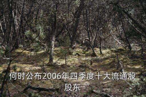 何時公布2006年四季度十大流通股股東