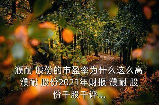  濮耐 股份的市盈率為什么這么高 濮耐 股份2021年財(cái)報(bào) 濮耐 股份千股千評(píng)...