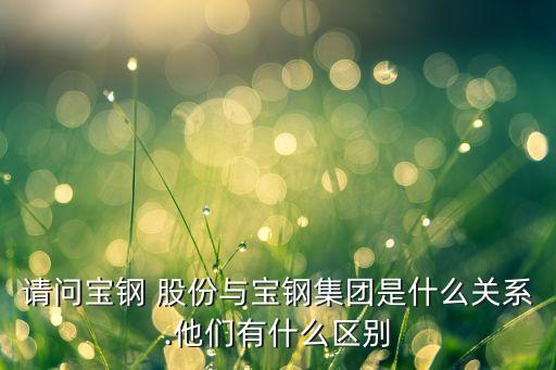 請問寶鋼 股份與寶鋼集團(tuán)是什么關(guān)系.他們有什么區(qū)別