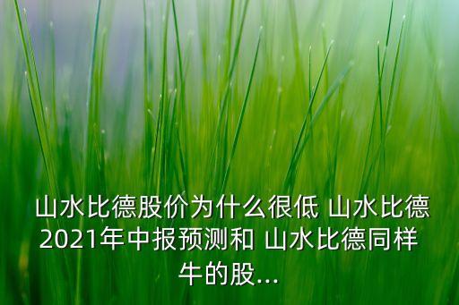  山水比德股價(jià)為什么很低 山水比德2021年中報(bào)預(yù)測(cè)和 山水比德同樣牛的股...